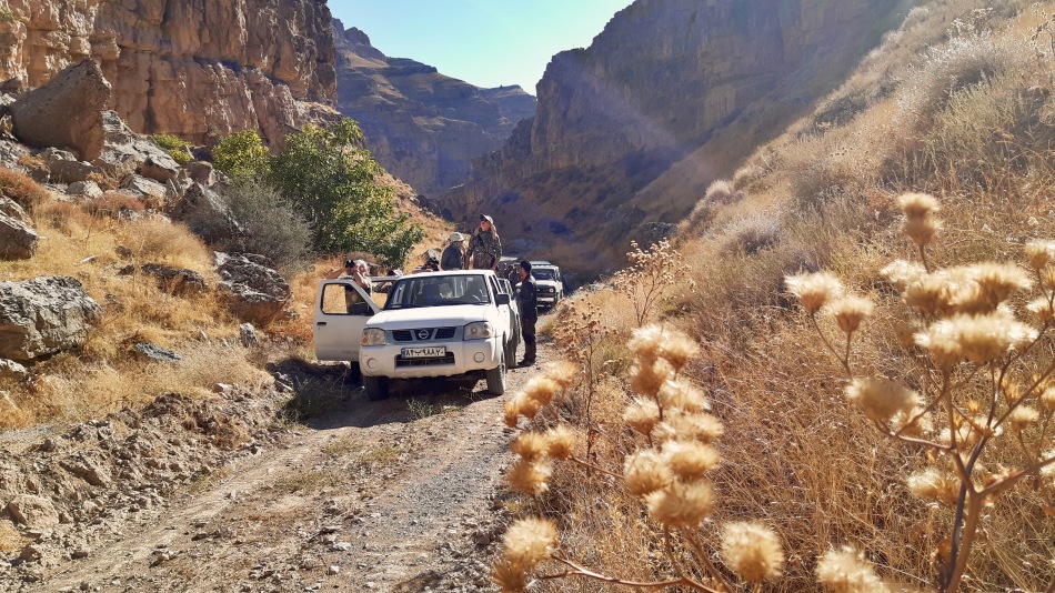 iran-safari