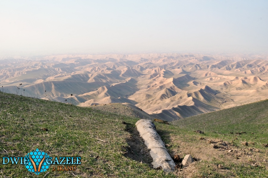 khaled-nabi