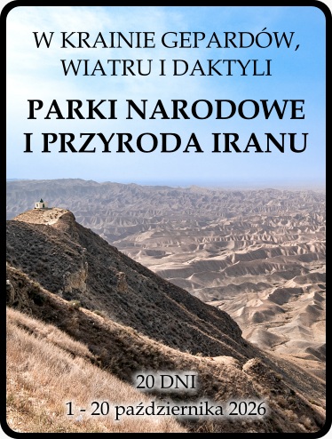 wyprawa do iranu