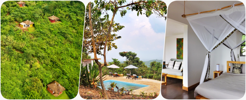 hotel w lesie kibale uganda