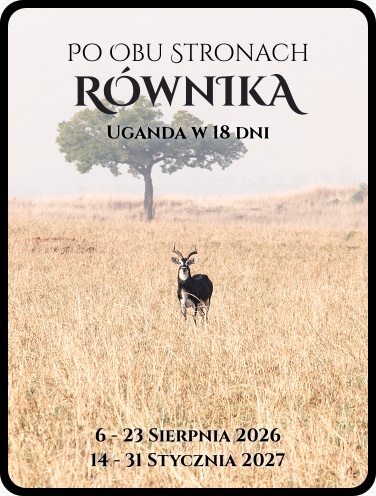 wyprawa do ugandy