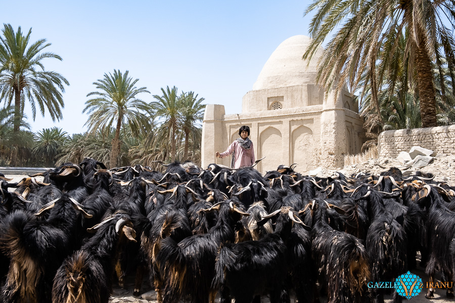 iranski-beludzystan-wyprawa