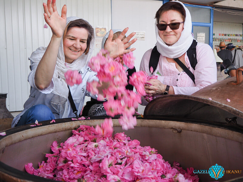 aktywności atrakcje kashan zbiory róży damasceńskiej