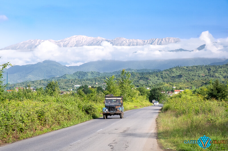 dżungla w iranie