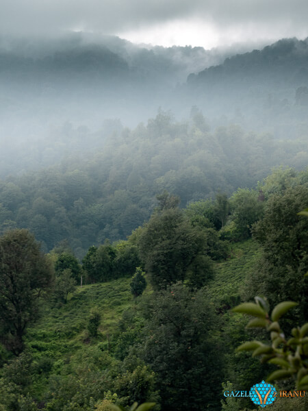 nieznane miejsca iranski las deszczowy